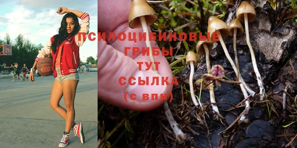 прущая мука Остров