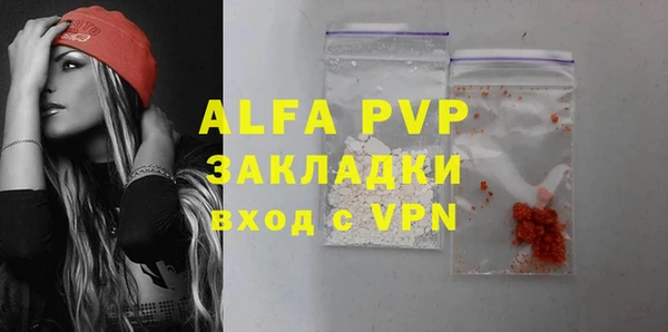 a pvp Пересвет