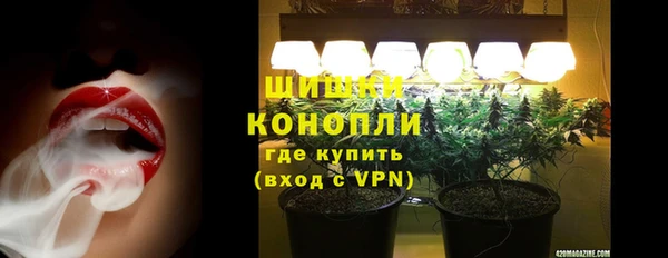 a pvp Пересвет
