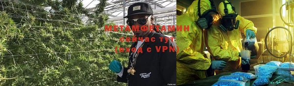 a pvp Пересвет