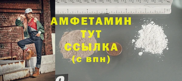 a pvp Пересвет