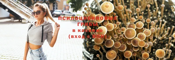 ALPHA PVP Осташков