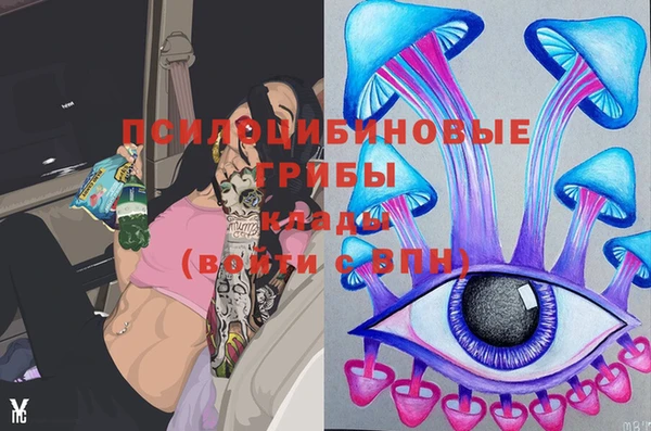 стафф Пестово