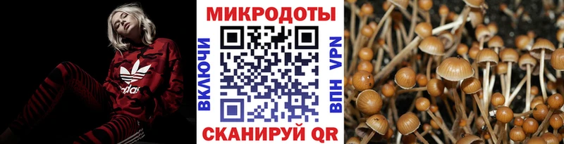 Псилоцибиновые грибы мухоморы  магазин  наркотиков  Тавда 