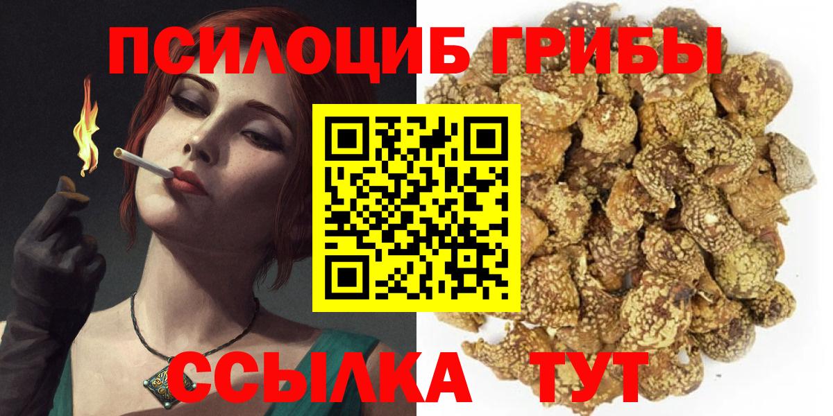 Галлюциногенные грибы Psilocybe Тавда