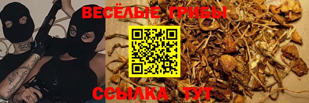 Тавда  Псилоцибиновые грибы GOLDEN TEACHER  Вход с VPN 