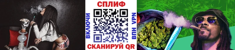 Канабис планчик  Тавда 